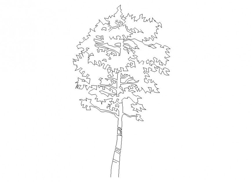 Single tree elevation block auto-cad details dwg file