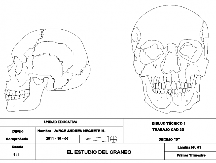 Skeleton, skull  drawing elevation in dwg file.