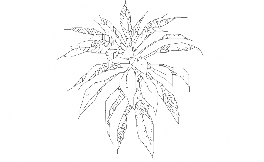 Small garden tree plan 2d elevation block details dwg file