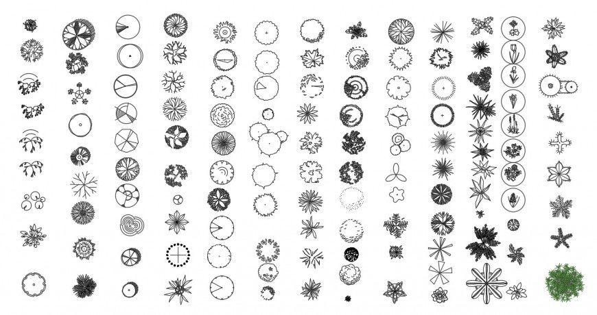 Small green tree plant 2d elevation blocks drawing details dwg file