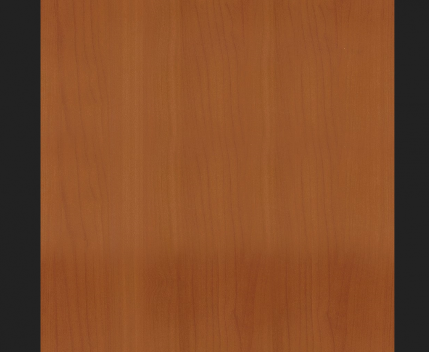 Speaker 3d front elevation cad drawing details dwg file