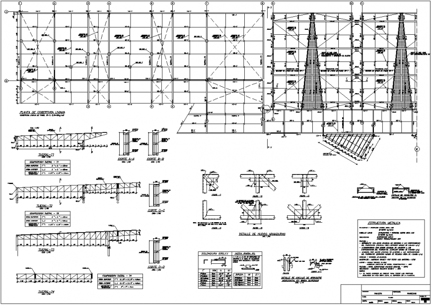 Steel framing plan and section plan autocad file