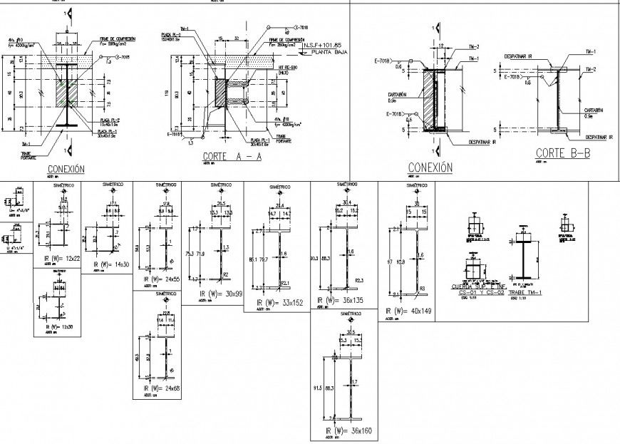 Structural metal section layout file