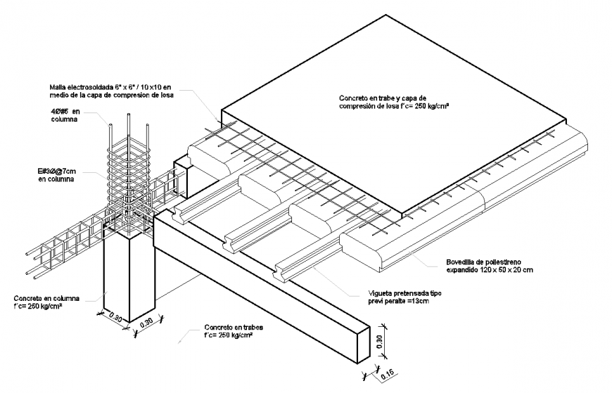 Structure with concrete tribe with detail of column isometric design dwg file