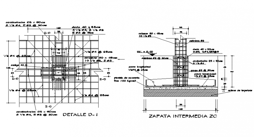 The Detail in foundation plan and section autocad file