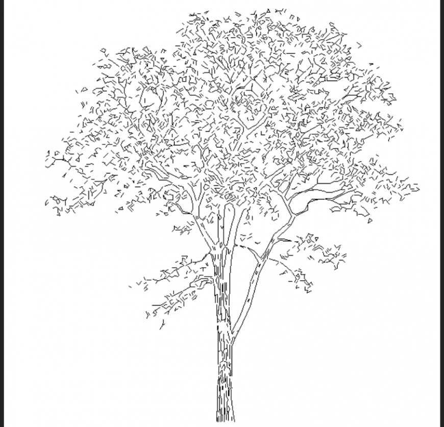The front elevation of tree detail dwg file.