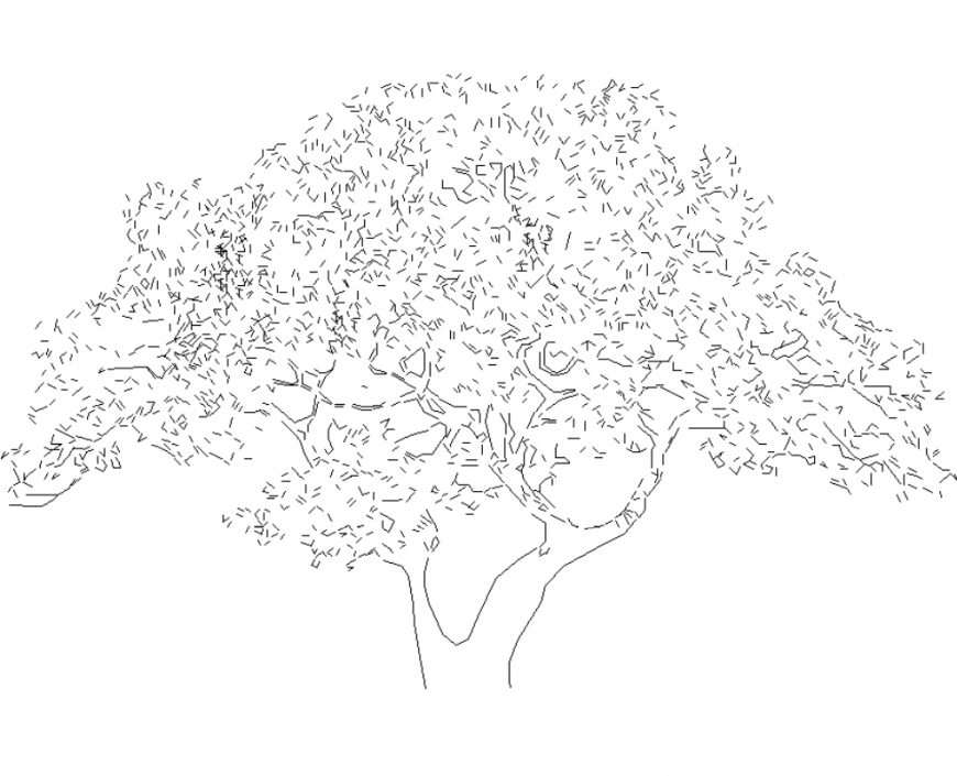 The front view tree plan detail dwg file.