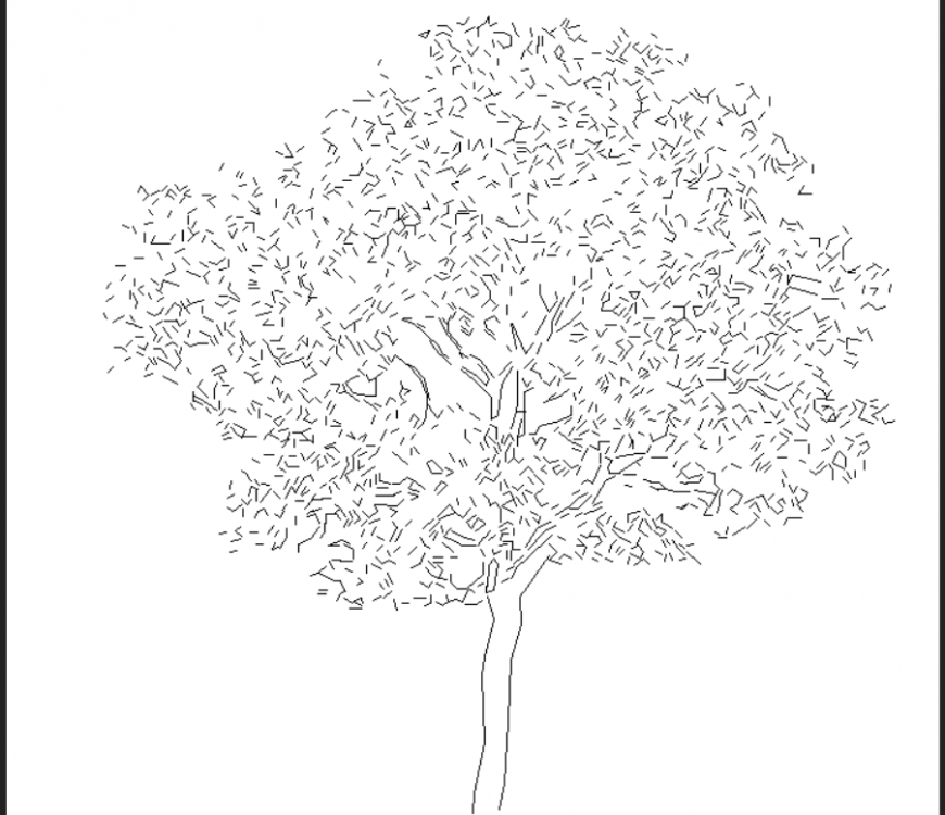 The tall tree plan detail dwg file.