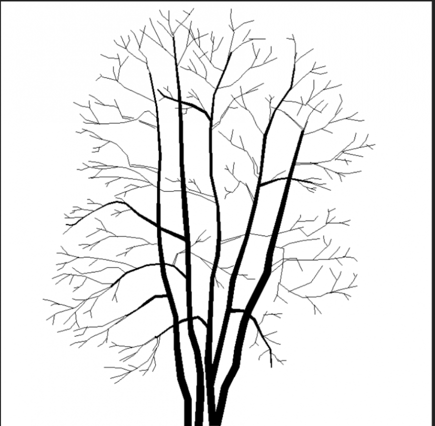 The tall tree plan with a detailing dwg file.