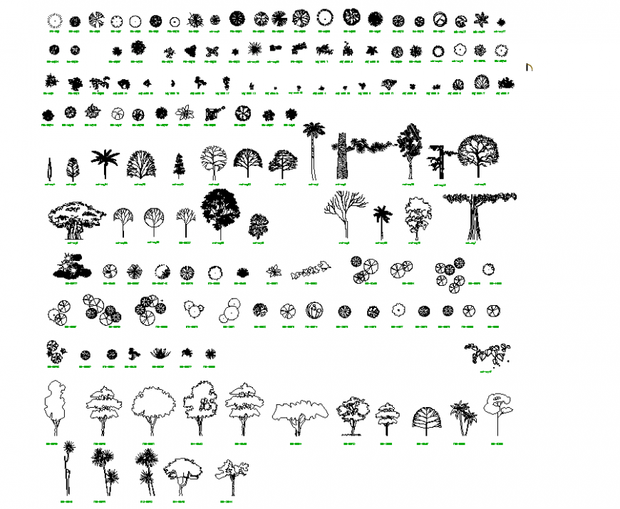 The tree plan detail & dwg file.