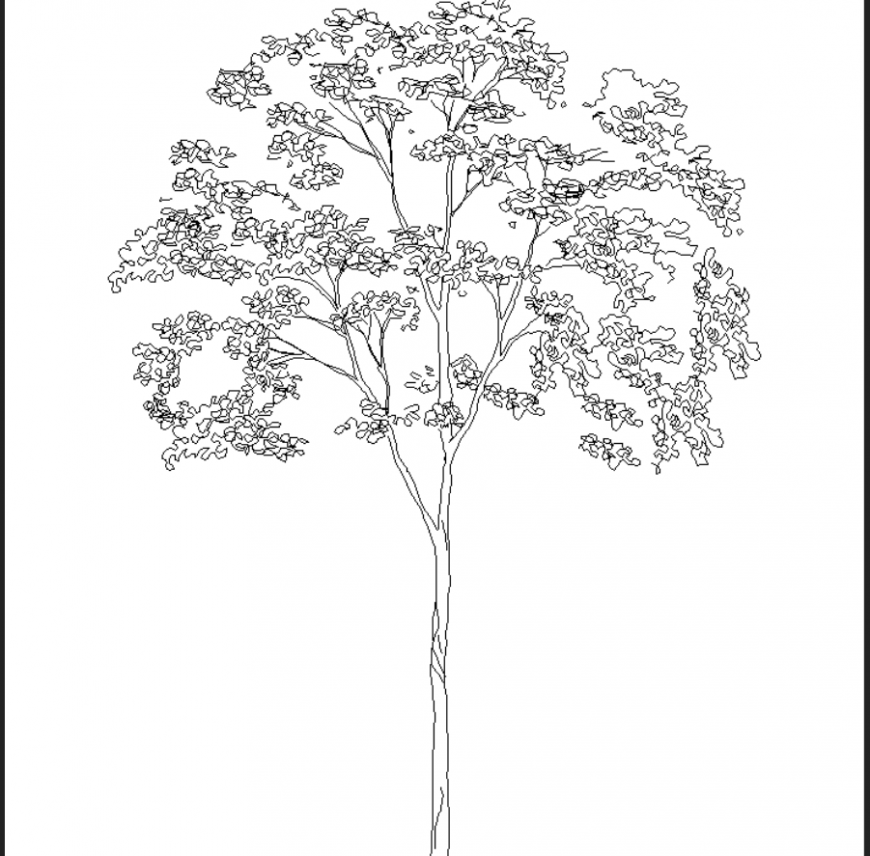 The tree plan with detailed dwg file.