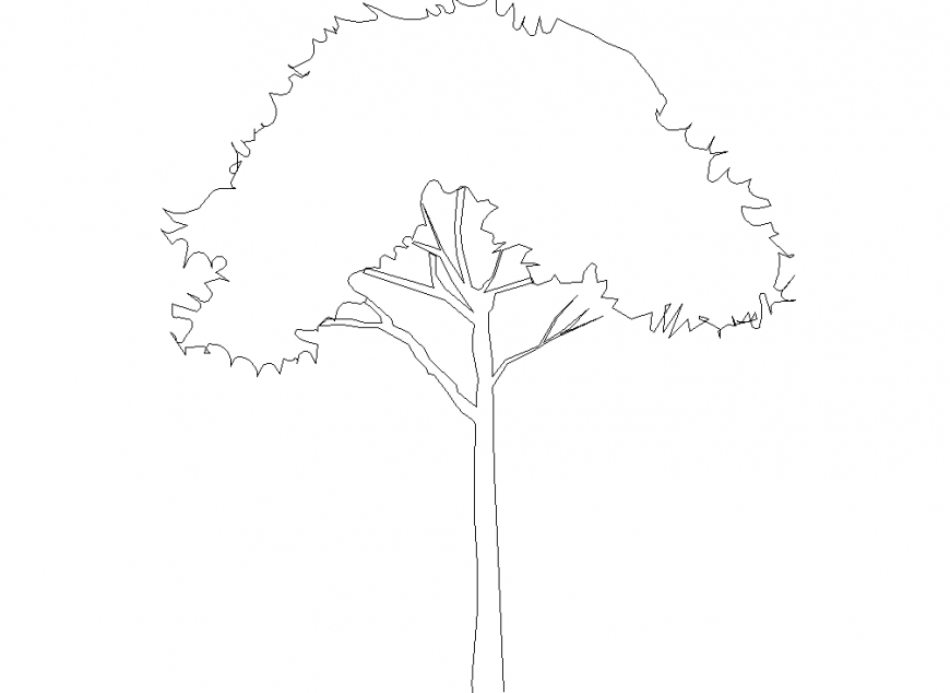 The tree plan with detailing dwg file.