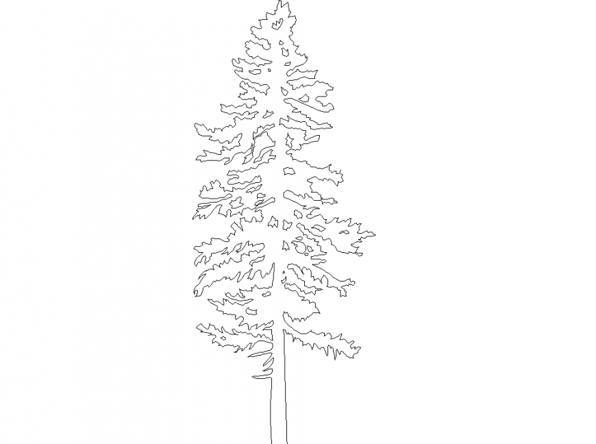 The trees plan of deciduous with a detailing dwg file.