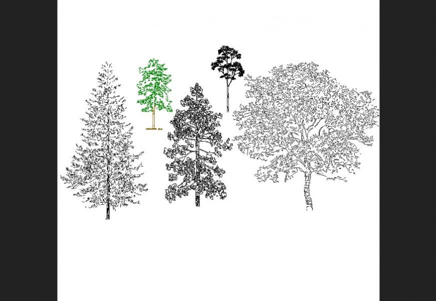 The trees plan of deciduous with detailing dwg file.