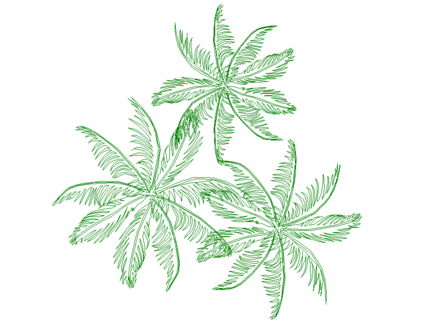 Three palm trees top view elevation cad block details dwg file