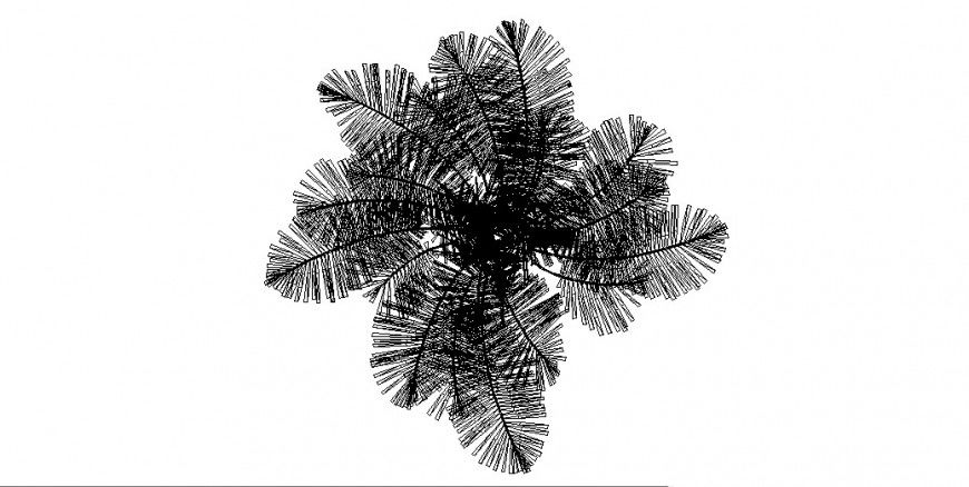 Top elevation of coconut tree 2d view layout autocad file
