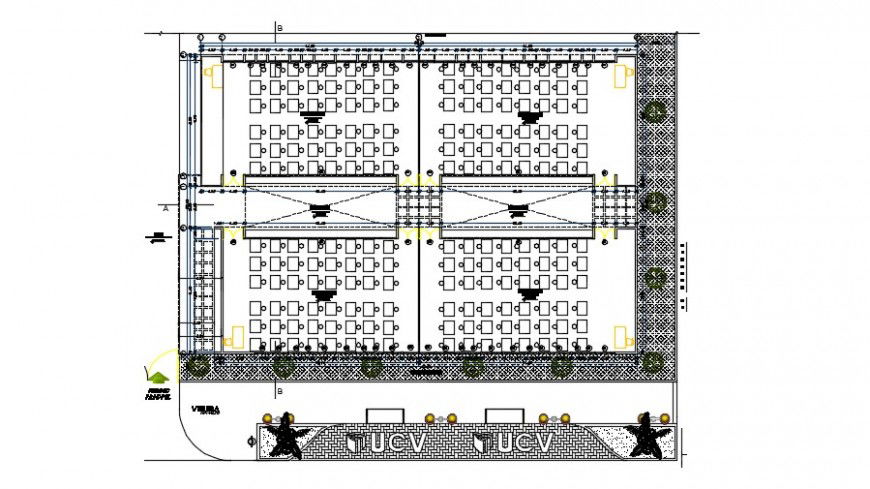 Top View Classroom Layout Plan in DWG for School Design