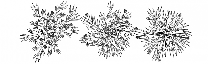 Top view of plant drawing