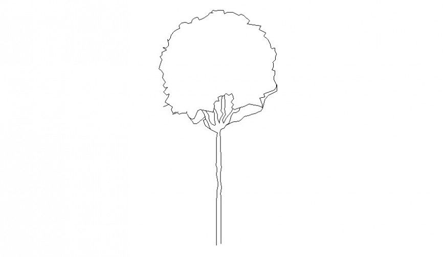tree 2d elevation design block AutoCAD file