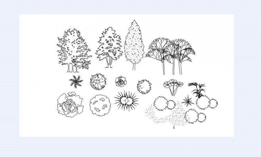 Tree and Plant Block Many Plan and Elevation AutoCAD File Download