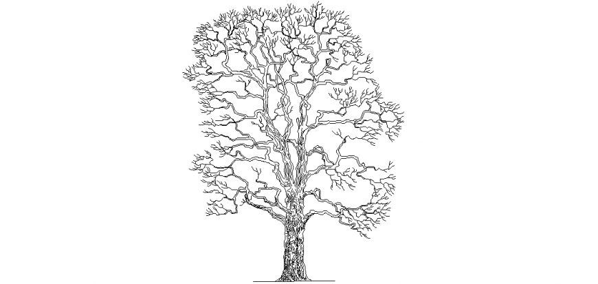 Tree design view of tree elevation with tree area and view of its branches design dwg file