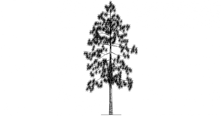 Tree design view with its elevation view dwg file