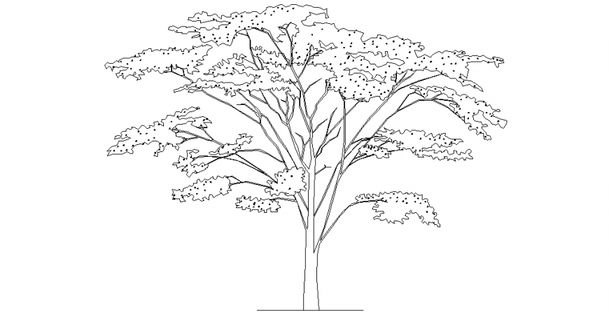 Tree design view with view of elevation dwg file
