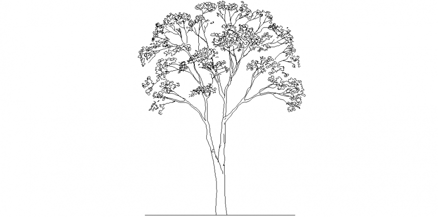 Tree design with a view of banyan tree area dwg file