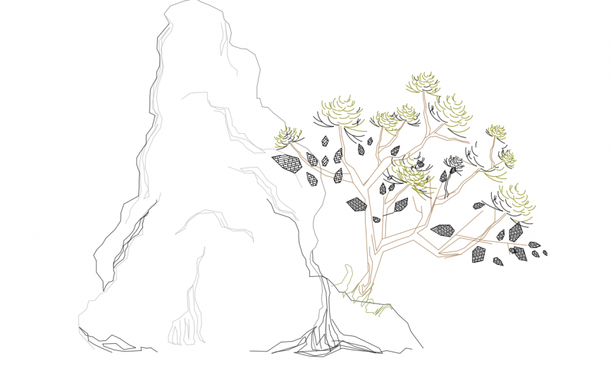 Tree elevation block details with big rock cad drawing details dwg file