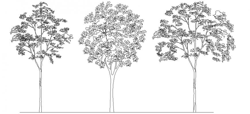 Tree elevation with design view with dwg file
