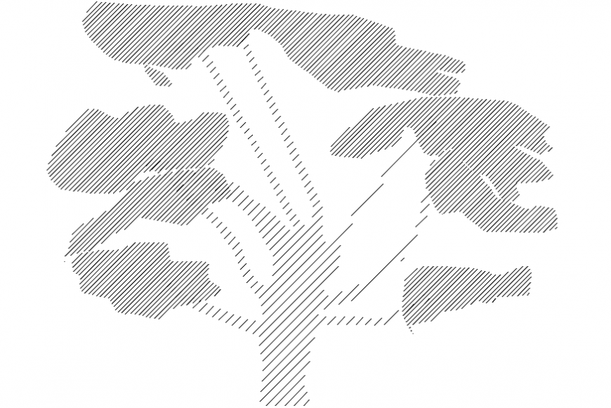 Tree figure 2d elevation block drawing details dwg file