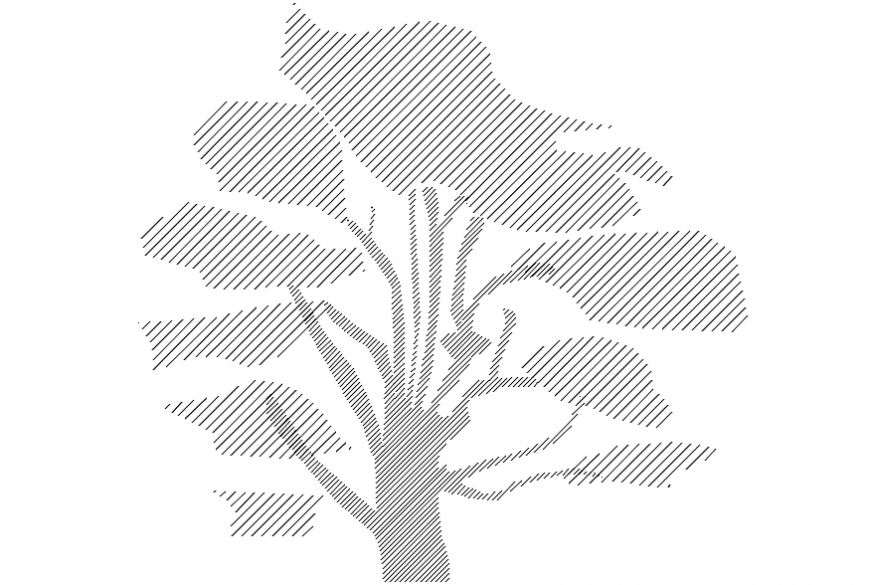Tree figure elevation block drawing details dwg file