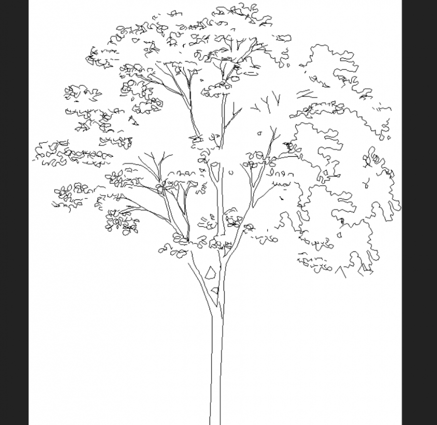 Tree plan of deciduous detailing dwg file.
