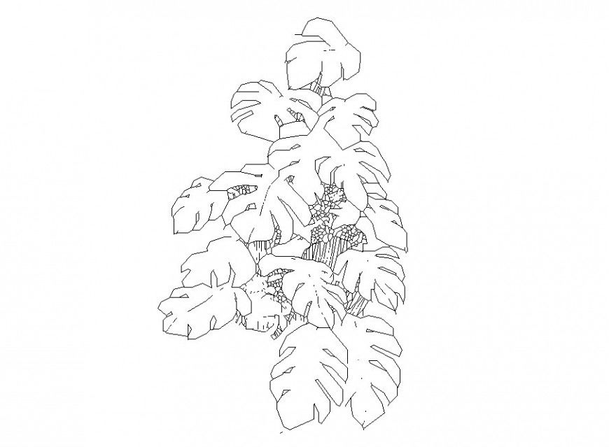 Tree plant elevation block cad drawing details dwg file