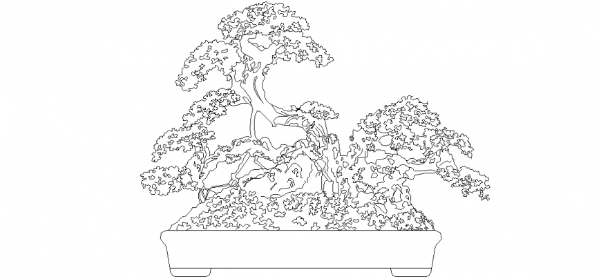 Tree view with its cover area view with interior view design dwg file