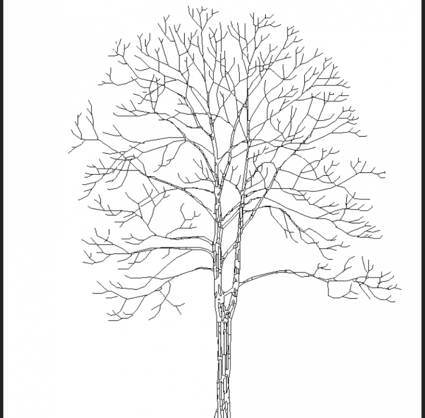 Tree with no leaves plans detail dwg file.
