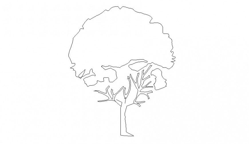 Trees and plants drawing 2d view cad blocks in autocad software
