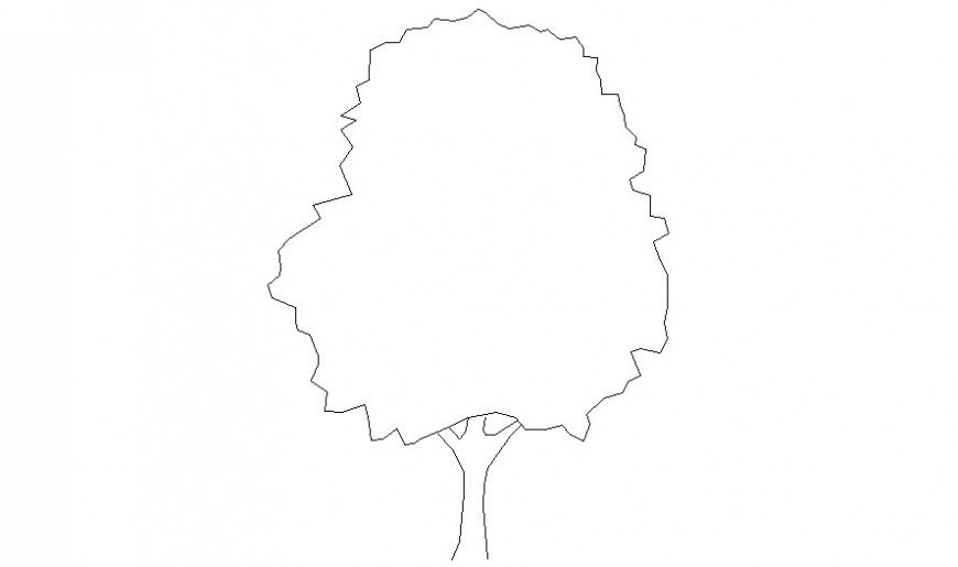 Trees drawing of landscaping block in autocad