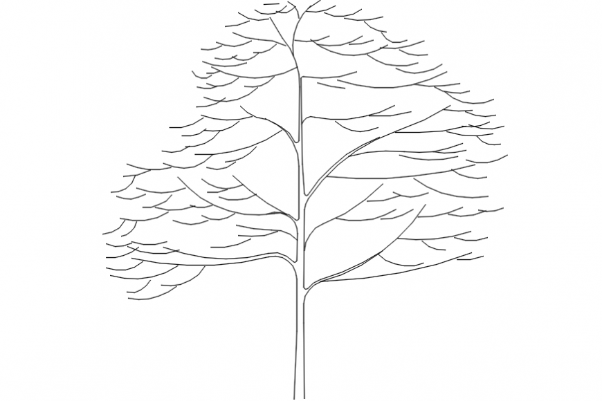 Trees front sectional 2d