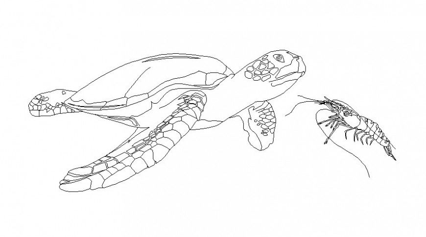 Turtle drawings details of aquatic animal blocks dwg AutoCAD file
