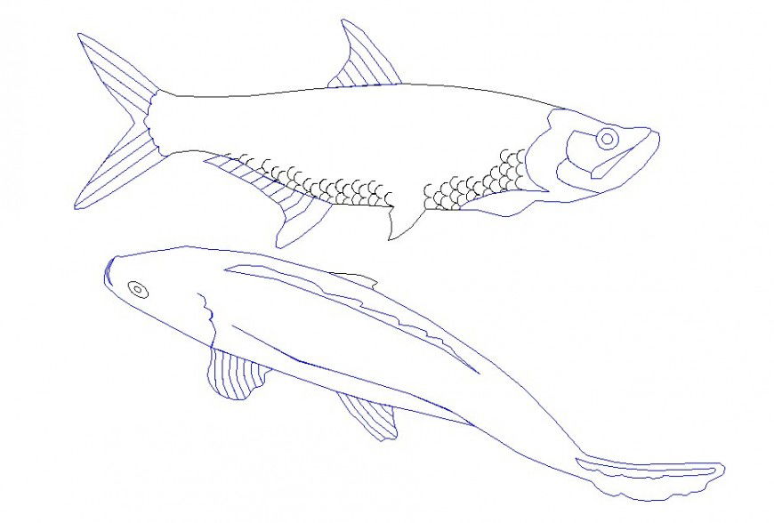 Two fish animal blocks cad drawing details dwg file