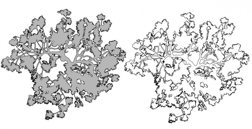 Two tree top view elevation blocks cad drawing details dwg file