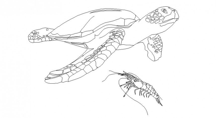Two water animal-tortoise 2d blocks cad drawing details dwg file