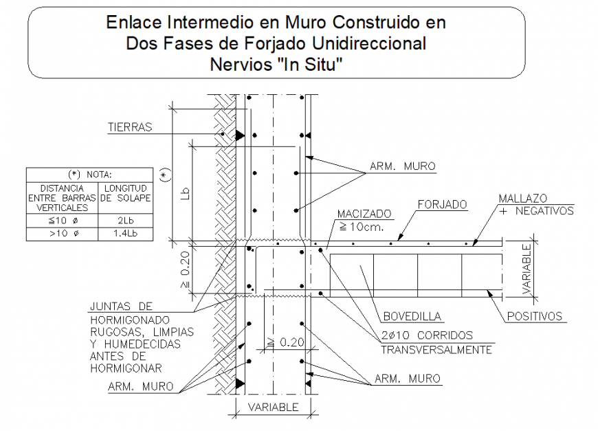 Unidirectional slab nerves in situ section autocad file