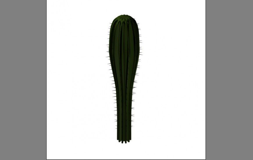 Unique cactus 3d tree plant cad drawing details max file