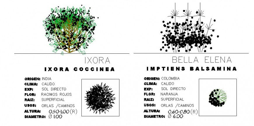 Unique garden tree plant blocks cad drawing details dwg file