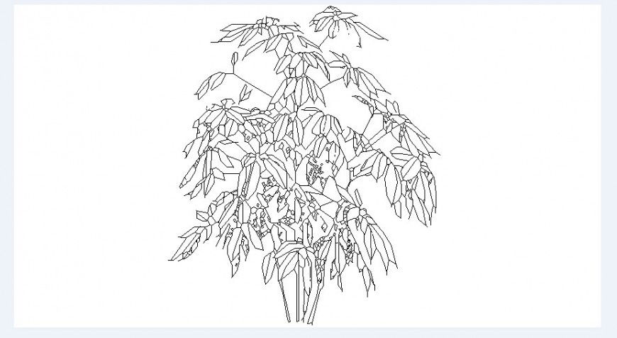 Unique green tree plant elevation block drawing details dwg file