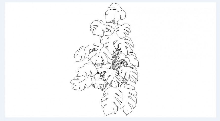 Unique leaf tree plant elevation block cad drawing details dwg file