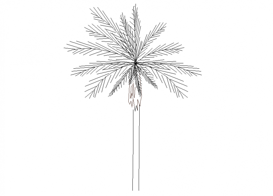 Unique palm tree front elevation cad block details dwg file