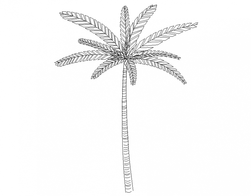 Unique palm tree front view cad drawing details dwg file